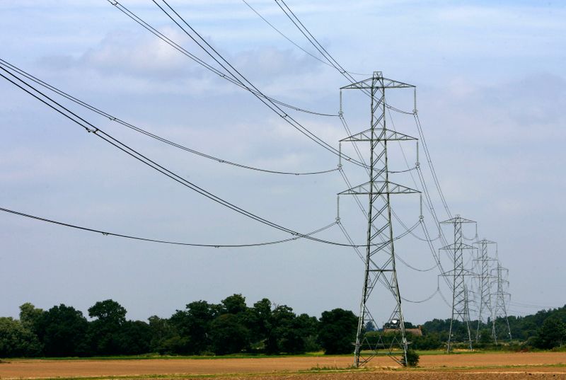 Electricity pylons are pictured near Cobham in Surrey, southern England