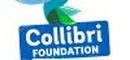 COLLIBRI FOUNDATION FOR EDUCATION