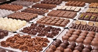 Sterke volumegroei chocolademaker Barry Callebaut