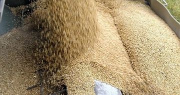 Wöchentliche Schätzungen der U.S.-Getreide- und Sojabohnen-Exportverkäufe für den 2. September