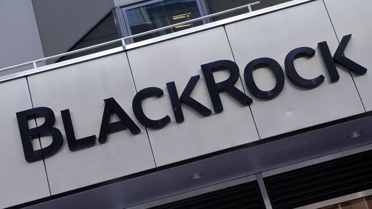 BlackRock to keep questioning boards on 'material' climate risks