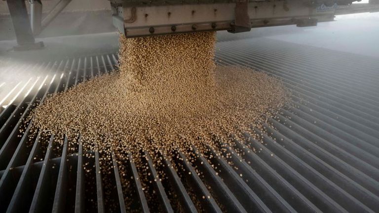 Sólido informe de exportaciones provoca un repunte en el trigo, el maíz y la soja de EEUU