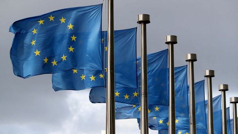Exclusive-Foreign banks face bigger capital bill under draft EU plan