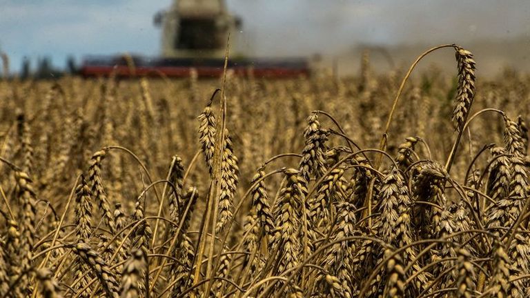 Analysis :  Patchwork fixes to Ukraine grain shortfall leave world vulnerable a year into war