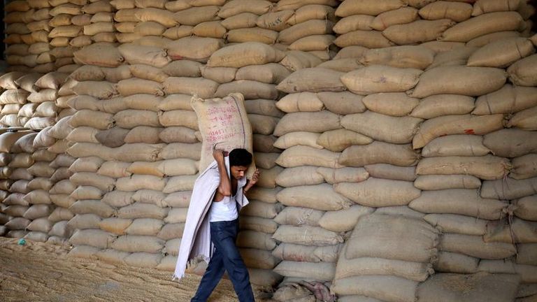 India's wheat planting area up nearly 11% y/y on record prices