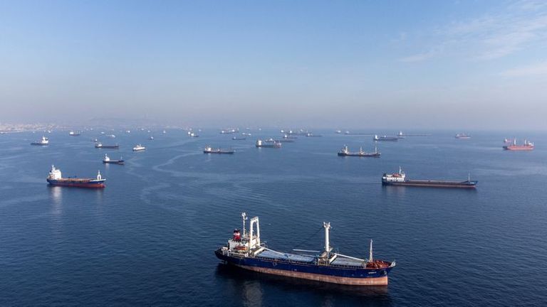 La Russie nie avoir ralenti les inspections des navires céréaliers ukrainiens