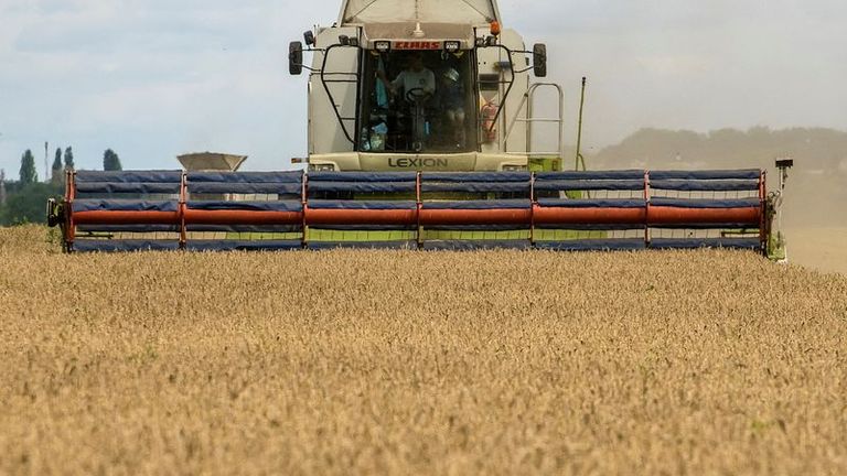 Analyse - Der Ukraine fehlt ein tragfähiger Plan B zur Steigerung der Getreideexporte über Schiene, Straße oder Fluss