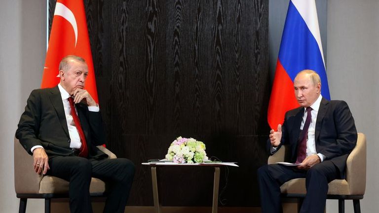 Putin ha discusso con Erdogan piano per 'hub' gas turco - Cremlino
