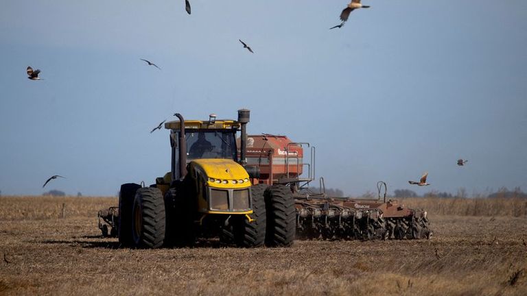 Los futuros de la soja y el trigo en EEUU caen, el maíz sube