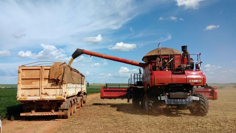 Los agricultores brasileños cosechan el 5% de la superficie plantada de soja, según AgRural