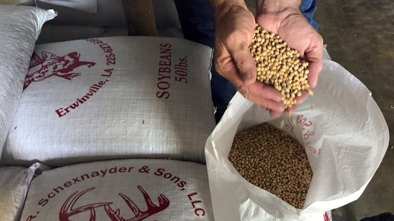 La soja cae en EEUU a pesar de las exportaciones