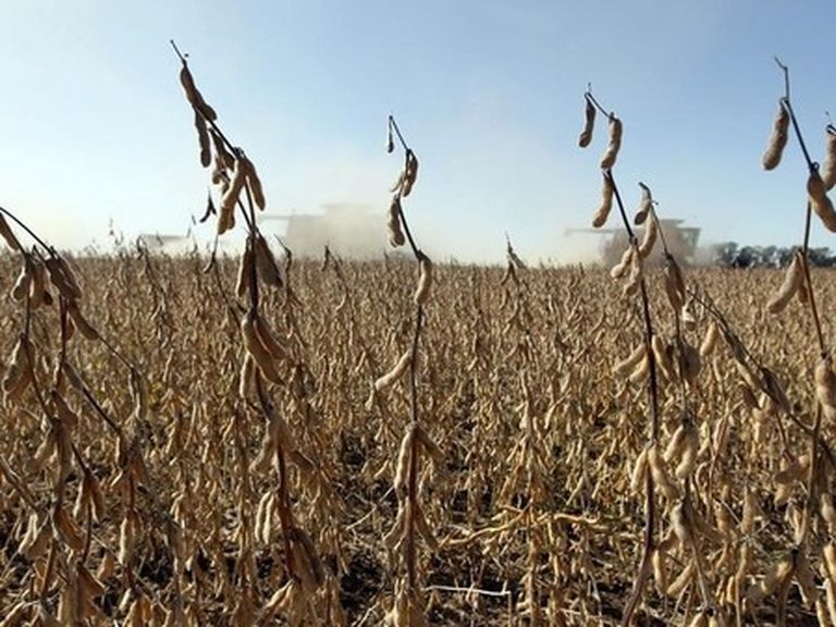 Corn futures hit one-month high on dry US weather worries