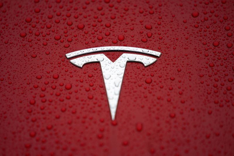 FILE PHOTO: The Tesla logo is seen