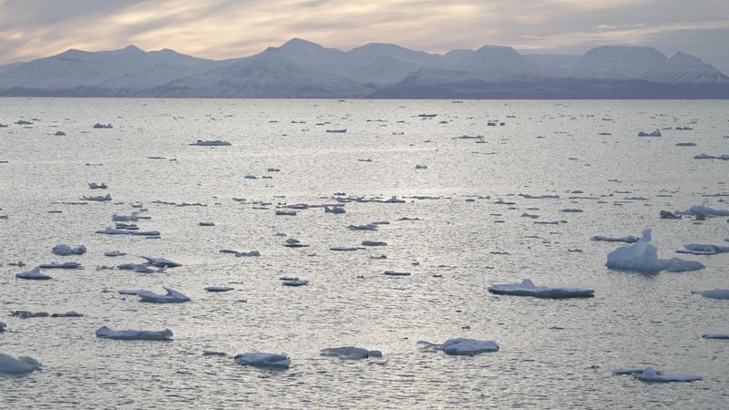 Η Νορβηγία βλέπει τη θάλασσα να αλλάζει σε βαθιά κατάδυση για μέταλλα αντί για πετρέλαιο