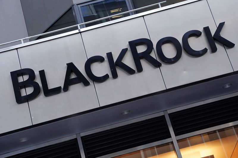 FILE PHOTO: The BlackRock logo is pictured in New York City