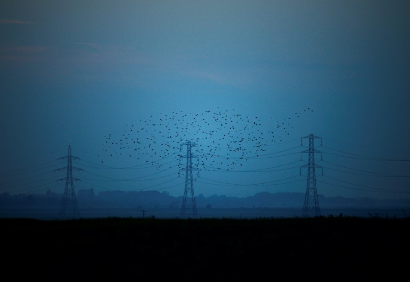Migrating starlings fly at dusk past electricity pylons silhouetted by the sunset of a clear autumn evening in the Kent countryside,  in Graveney, Britain