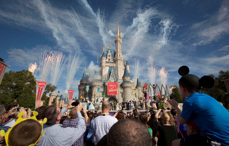FILE PHOTO: Fireworks go off around Cinderella's castle during the grand opening ceremony for Walt Disney World's Fantasyland in Lake Buena Vista, Florida
