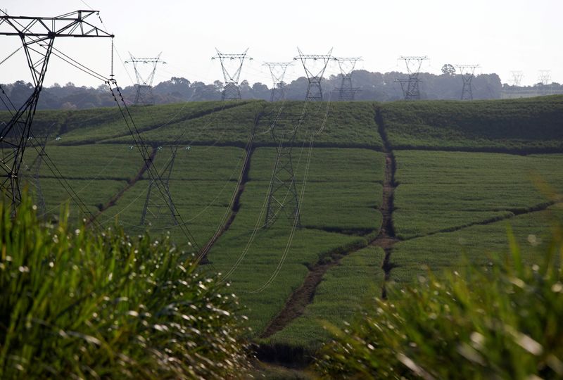 Power lines supplying electricity by stated owned Eskom run through sugar cane fields on a Tongaat Hulett farm in Shongweni