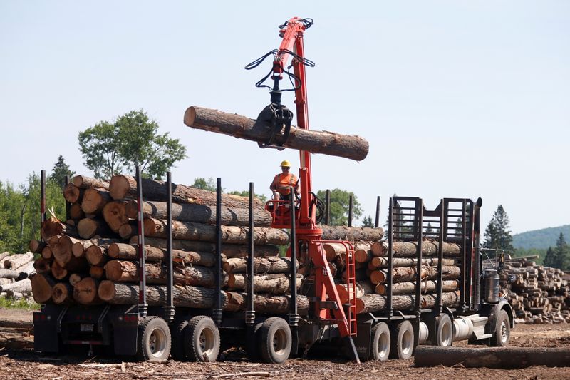 FILE PHOTO: A worker unloads logs at the Murray Brothers Lumber Company in Madawaska