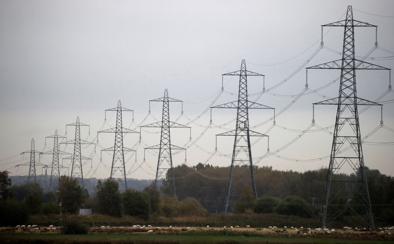 FILE PHOTO: Row of electricity pylons near Ellesmere Port