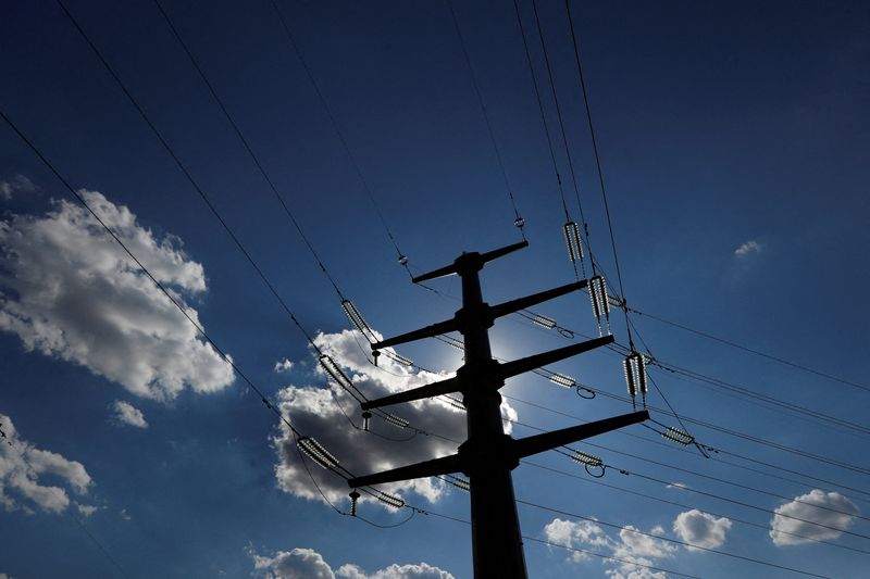 FILE PHOTO: A power line is seen near a thermal power plant in Kyiv