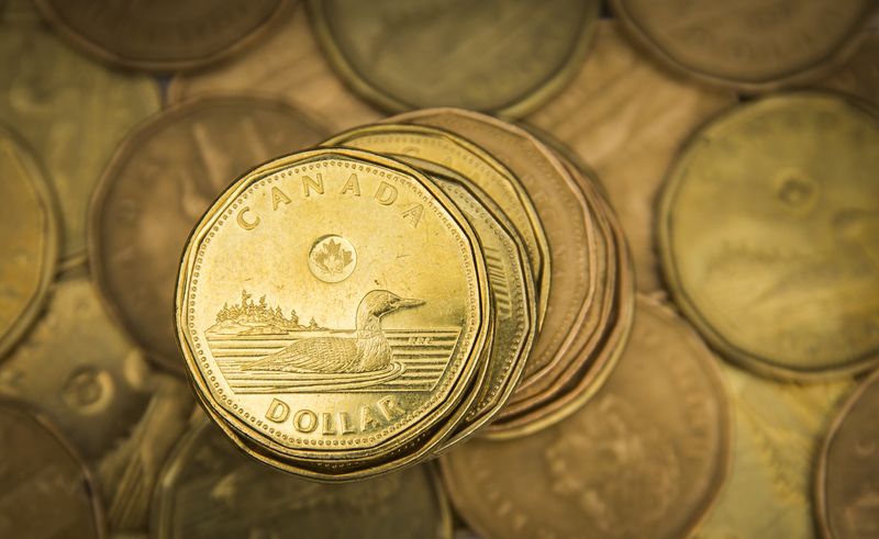 A Canadian dollar coin, commonly known as the 
