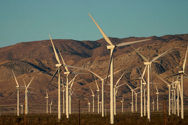 FILE PHOTO: A wind farm is shown in Movave, California