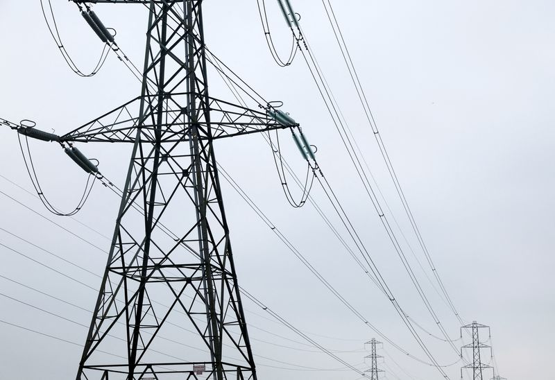 FILE PHOTO: Electricity pylons are seen in Wellingborough