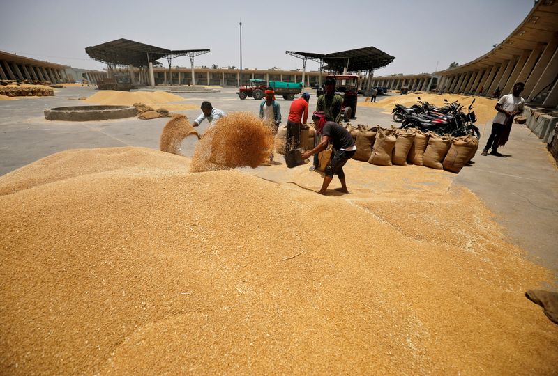 FILE PHOTO: Workers fill sacks with wheat at a market yard on the outskirts of Ahmedabad