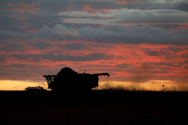 FILE PHOTO: A farmer works with his tractor on a field near Brasilia