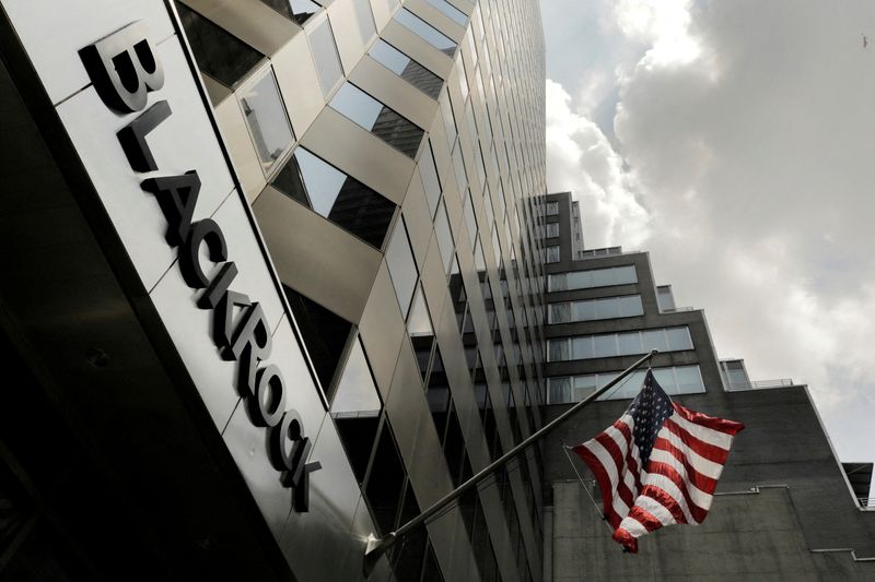FILE PHOTO: A sign for BlackRock Inc hangs above the company's building in New York