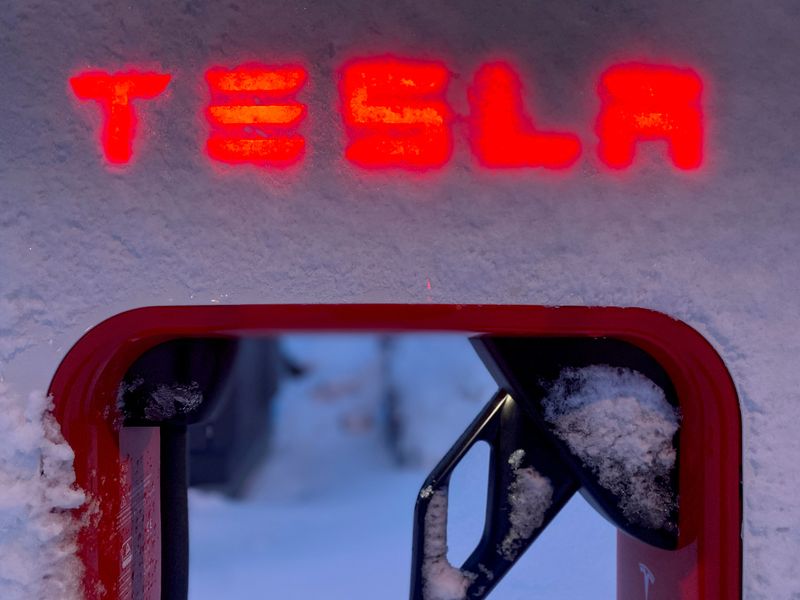 FILE PHOTO: Tesla electric vehicle charger is seen during the winter in Hofn