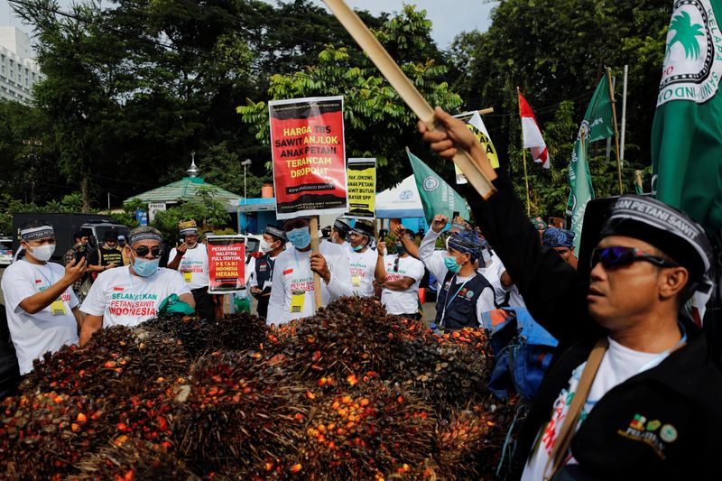 FILE PHOTO: Indonesian palm oil farmers protest demanding the government to end the palm oil export ban, in Jakarta