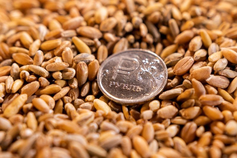 FILE PHOTO: Illustration shows Russian rouble coin and grain