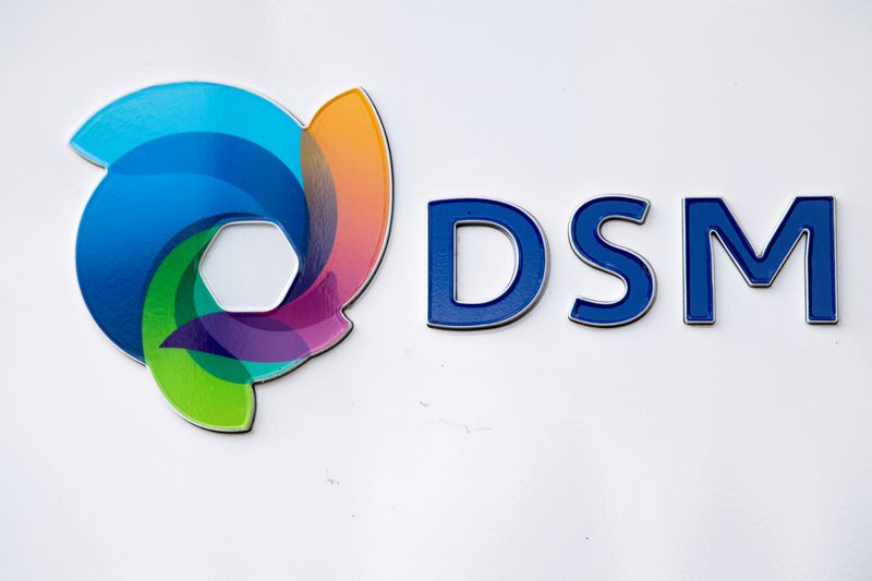 DSM logo is seen at the headquarters in Heerlen