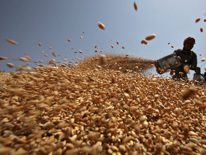 India allows small amount of wheat out after ban, large stock remains stuck