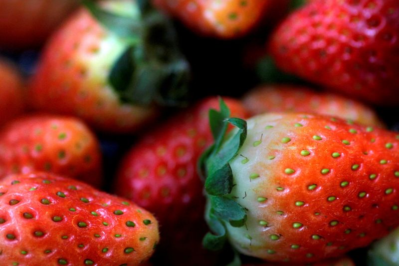 FILE PHOTO: Illustration photo of strawberries