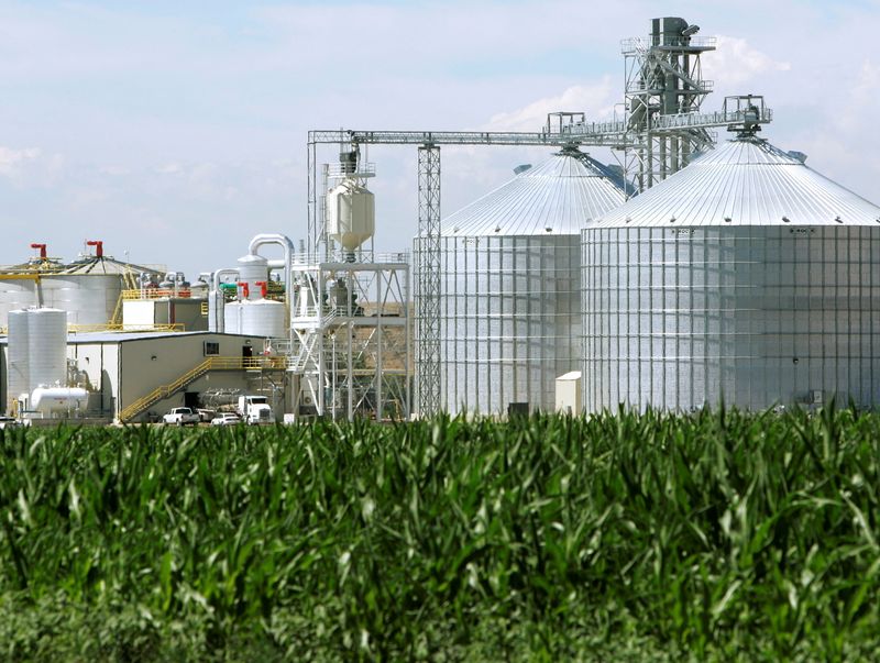 FILE PHOTO: An ethanol plant with its giant corn silos next to a cornfield