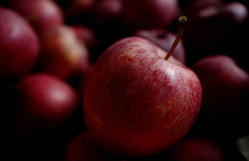 FILE PHOTO: Gala apples are pictured at a warehouse near apple orchard in Rembertow