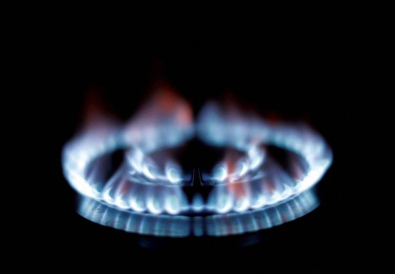FILE PHOTO: Flames from a gas burner on a cooker are seen in this illustration photo taken in a private home in Nice