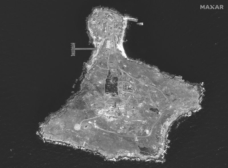 FILE PHOTO: A satellite image shows an overview of Snake Island