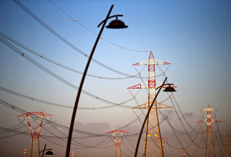 FILE PHOTO: Power lines connecting pylons of high-tension electricity are seen in Montalto Di Castro