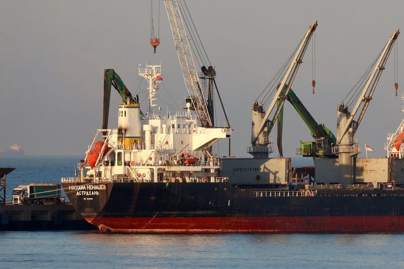 Russian-flagged bulk carrier Mikhail Nenashev is unloaded at the MMK Port in Dortyol near the Mediterranean town of Iskenderun