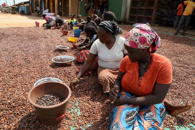 FILE PHOTO: Women prepare cocoa beans next to a warehouse in Soubre,