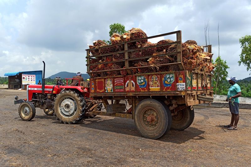 A farmer prepares to unload oil palm bunches from a tractor trolley in a mill at Dwaraka Tirumala