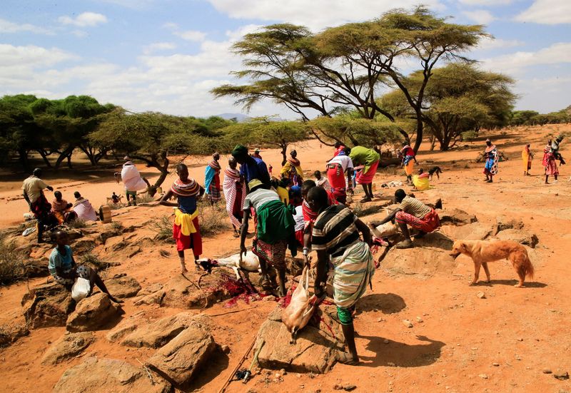 FILE PHOTO: In northern Kenya, drought may keep some herders from voting in Samburu