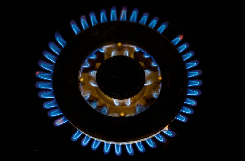 FILE PHOTO: Illustration picture of flames from a gas burner on a cooker in France