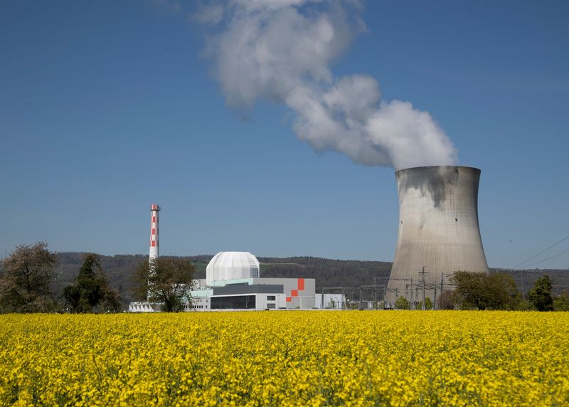 ARCHIV: Ein Rapsfeld vor dem Kernkraftwerk Leibstadt (KKW Leibstadt) bei Leibstadt, Schweiz