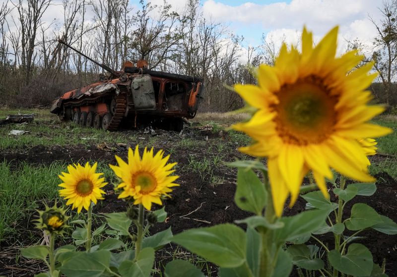 FILE PHOTO: A destroyed Russian BMP-2 infantry fighting vehicle is pictured near the town of Izium