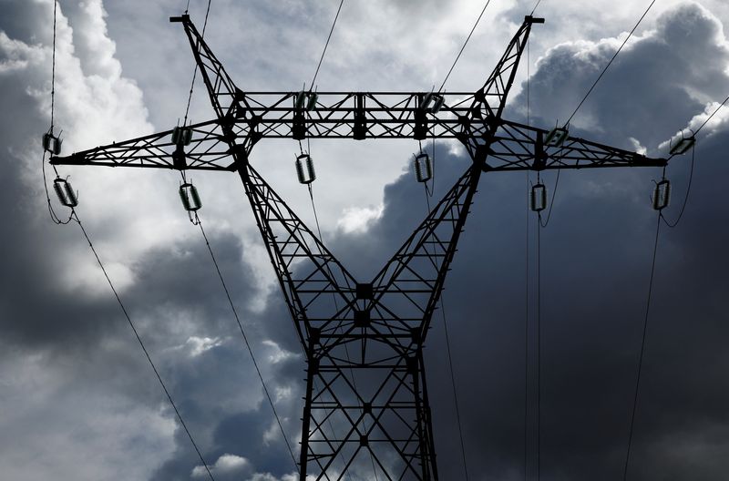 A pylon of high-tension electricity power lines is pictured in Donges